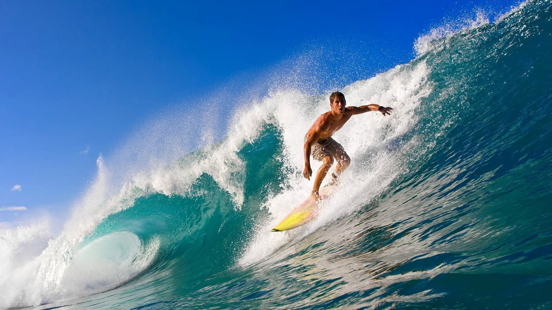 开云电竞在线-外援管理政策精准施策，优化联赛引援环境，外援项目